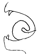 R񂠂肪Ƃ
