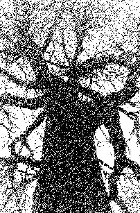 Ő̖