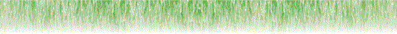 ���͗l